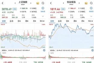 开云app登录入口官网网址